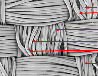 Channel_in_fibre_magnified_130x.jpg